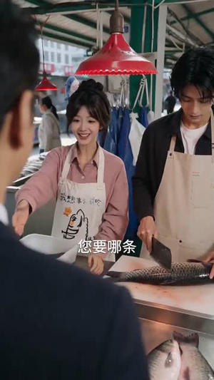 天上掉下来个林先生（50集）在线播放