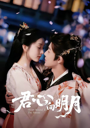 君心向明月（60集）最火的短剧