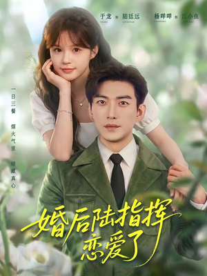 婚后陆指挥沦陷了（89集）短剧越看越精彩