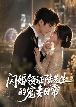 闪婚领证陆先生的宠妻日常（72集）精彩短剧来了