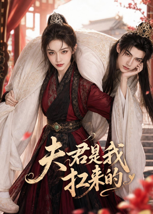 夫君是我扛来的（20集）360网盘观看
