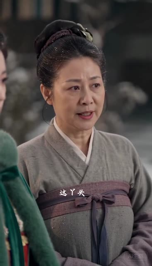 金网锁春风：入府篇（上）（56集）看精彩短剧