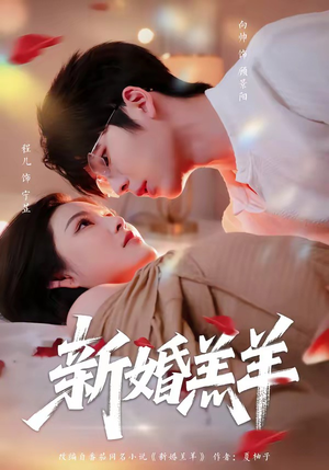 新婚羔羊（89集）全集一网打尽