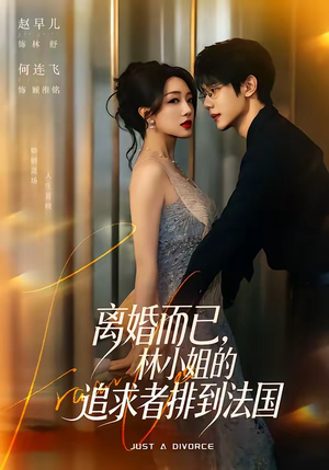 离婚而已，林小姐的追求者排到法国（79集）经典老剧免费看