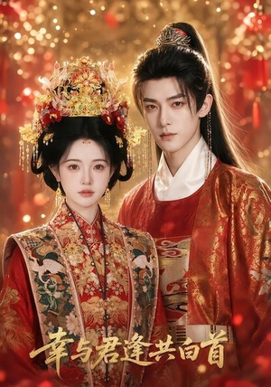 幸与君逢共白首(79集) 幸与君逢共白首(79集)热门火爆短剧