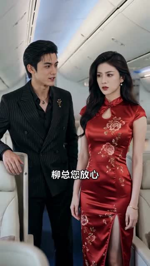 相亲当天,未婚妻赶我下飞机(42集) 相亲当天,未婚妻赶我下飞机(42集)超爽短剧推荐