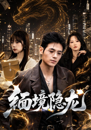 缅境隐龙（65集）热门短剧来袭