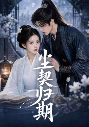 尘契归期（63集）短剧在线看