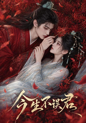 今生不误君（106集）短剧热播中
