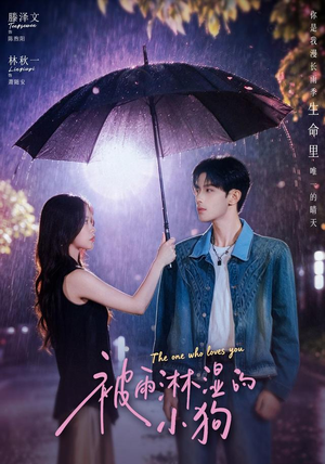 被雨淋湿的小狗（80集）热播古装短剧