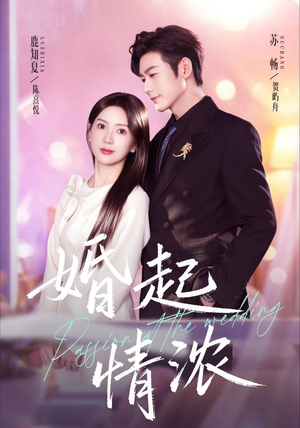 婚起情浓（99集）超火短剧抢先看