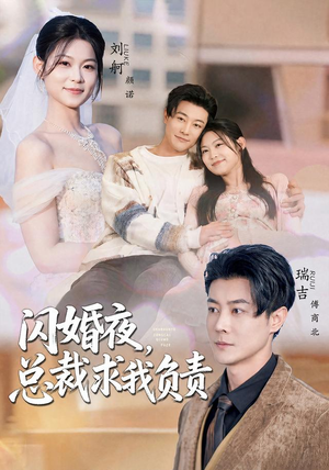 闪婚夜,总裁求我负责(80集) 闪婚夜,总裁求我负责(80集)河马免费短剧