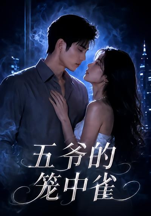 五爷的笼中雀（72集）免费版