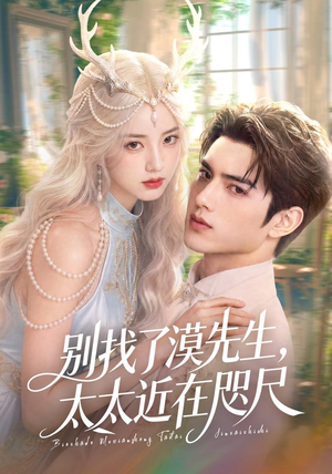 别找了漠先生，太太近在咫尺（72集）热播短剧全集看