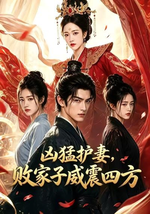 凶猛护妻，败家子威震四方（85集）全季一次看完