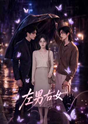 左男右女(63集) 左男右女(63集)热播短剧分享