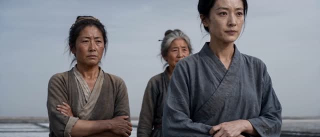 荒地变粮仓，罪臣孤女搅动朝野风云（60集）短剧精彩绝伦