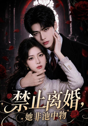 禁止离婚，她非池中物（144集）短剧免费看全集
