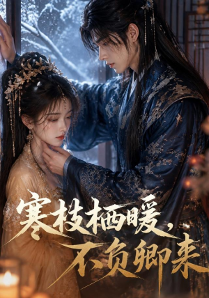 寒枝栖暖，不负卿来（50集）最新热播短剧