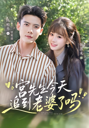 宫先生今天追到老婆了吗（73集）全集免费