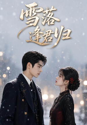 雪落逢君归(116集) 雪落逢君归(116集)免费短剧看全集