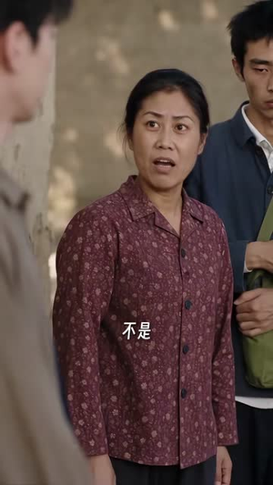 林家媳妇不好惹2(57集) 林家媳妇不好惹2(57集)80到100集