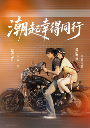 潮起幸得同行（73集）在线观看完整版