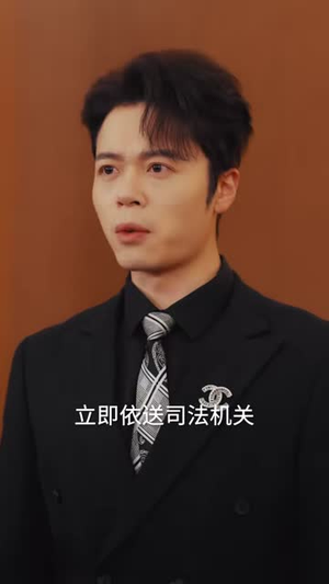 护宝特别行动小小队（77集）百度网盘资源