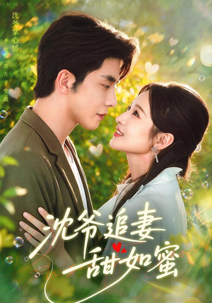 沈爷追妻甜如蜜 沈爷追妻甜如蜜零花钱看整部剧