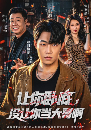 让你卧底，没让你当大哥啊（80 集）夸克网盘观看