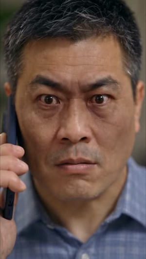 盛先生度淼入年（下）（201-409集）精彩短剧推荐