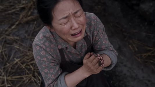 穿越七零：家主是修仙者（107集）热播古装短剧