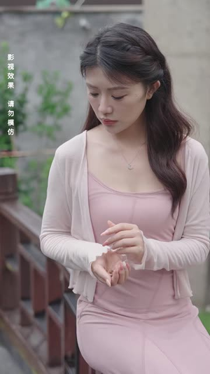 守正破局（55 集）红果短剧免费看