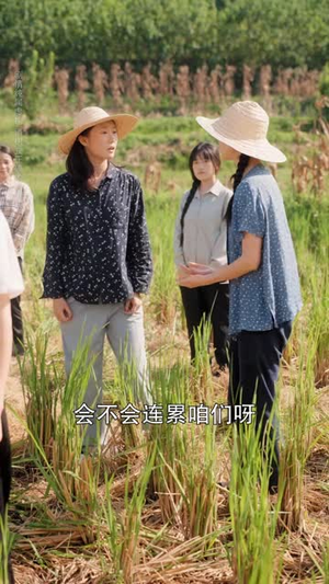 重生七零:不纠缠我独美(70 集) 重生七零:不纠缠我独美(70 集)季度高分短剧