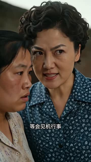挂帅:张老太重生记(159集) 挂帅:张老太重生记(159集)短剧