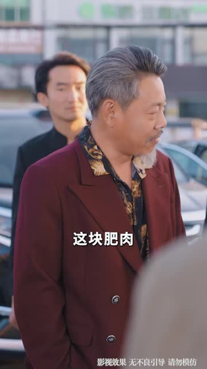 九龙撼山(61 集) 九龙撼山(61 集)宫斗短剧